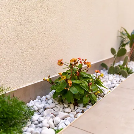 Bed & Breakfast Aria 3*